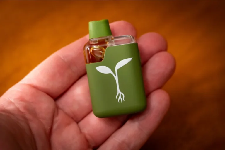 Gardenz: Premium CBD, Transparantie en Een Moderne Kijk op de Franse Hennepwereld