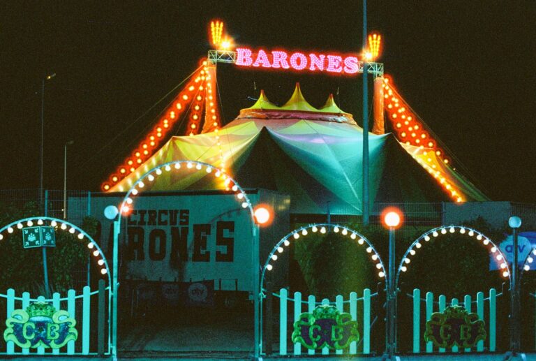 Circusshows en Entertainment-reizen Spectaculaire ervaringen wereldwijd